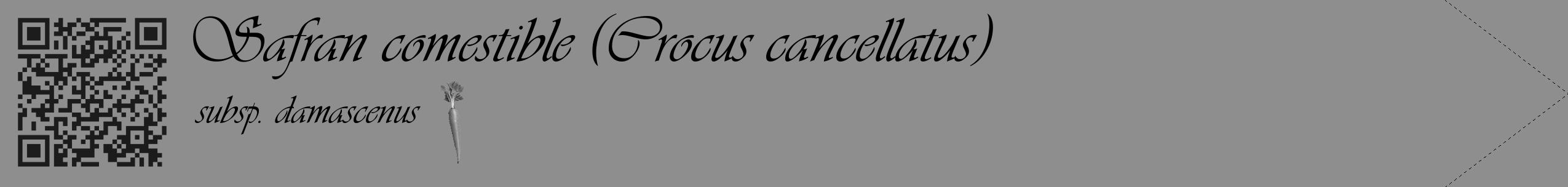 Étiquette de : Crocus cancellatus subsp. damascenus - format c - style noire25_simple_simpleviv avec qrcode et comestibilité simplifiée