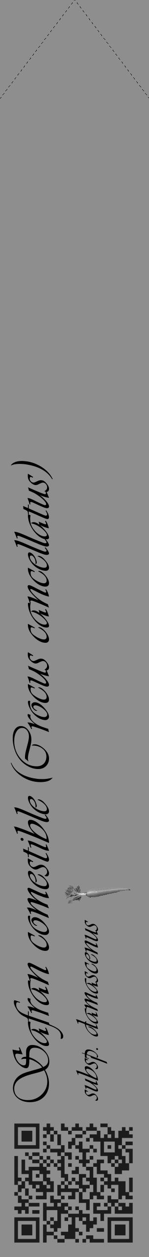 Étiquette de : Crocus cancellatus subsp. damascenus - format c - style noire25_simple_simpleviv avec qrcode et comestibilité simplifiée - position verticale