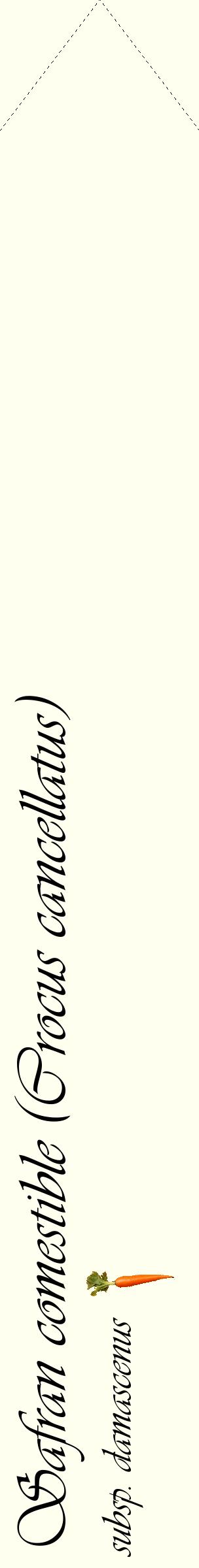 Étiquette de : Crocus cancellatus subsp. damascenus - format c - style noire19_simpleviv avec comestibilité simplifiée