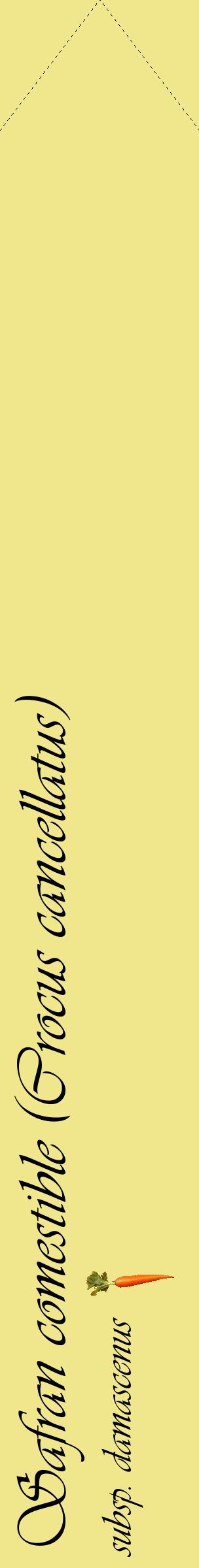 Étiquette de : Crocus cancellatus subsp. damascenus - format c - style noire20_simpleviv avec comestibilité simplifiée