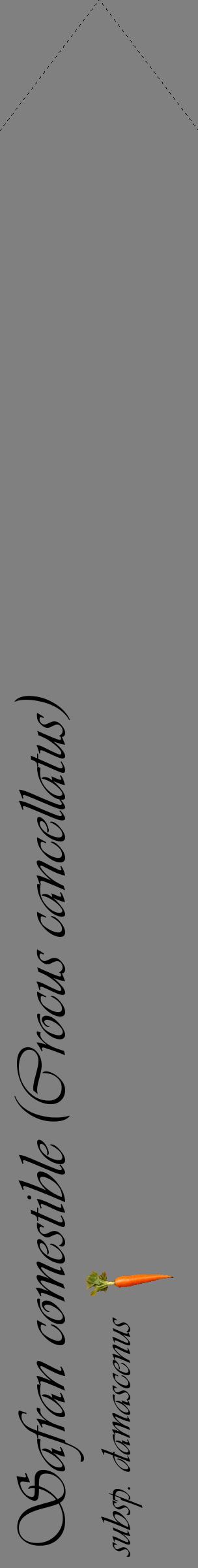 Étiquette de : Crocus cancellatus subsp. damascenus - format c - style noire57_simpleviv avec comestibilité simplifiée