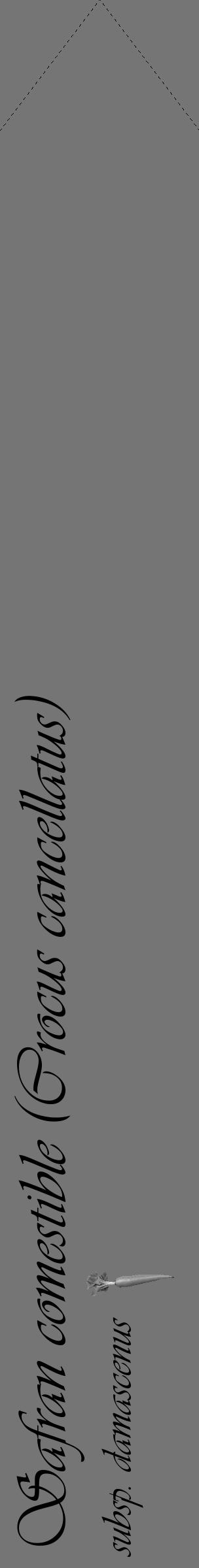 Étiquette de : Crocus cancellatus subsp. damascenus - format c - style noire5_simple_simpleviv avec comestibilité simplifiée - position verticale