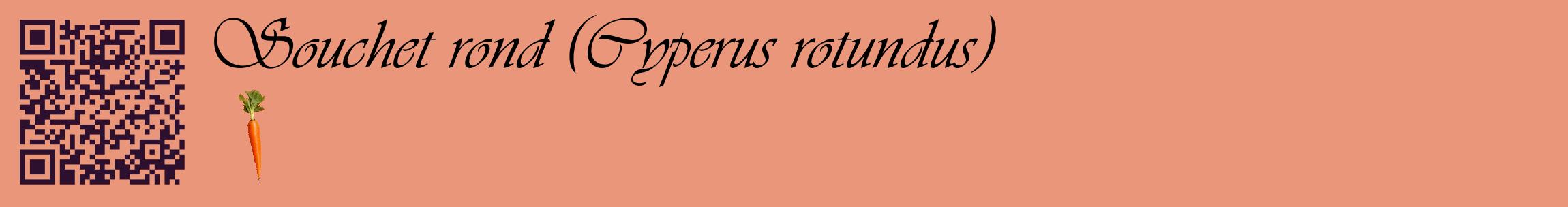 Étiquette de : Cyperus rotundus - format c - style noire37basique_basique_basiqueviv avec qrcode et comestibilité simplifiée