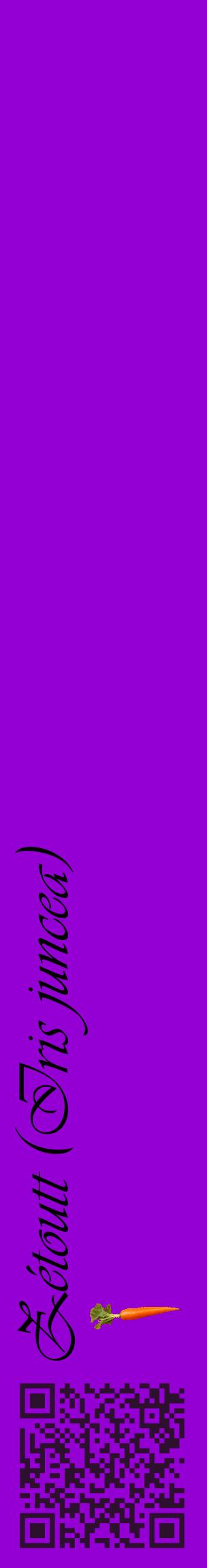 Étiquette de : Iris juncea - format c - style noire48_basiqueviv avec qrcode et comestibilité simplifiée