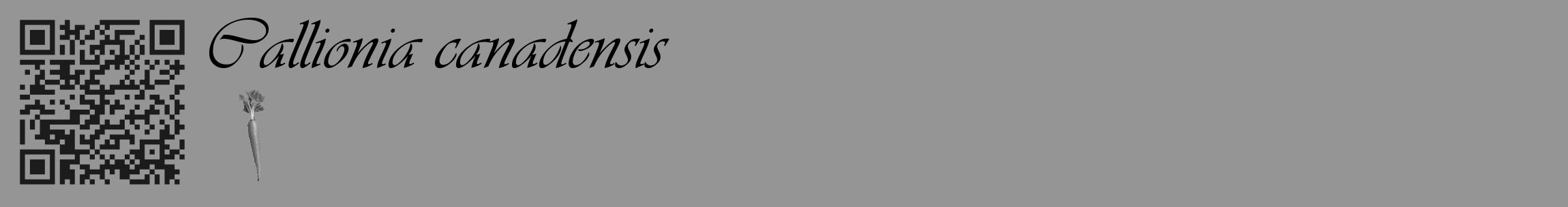 Étiquette de : Callionia canadensis - format c - style noire16_basique_basiqueviv avec qrcode et comestibilité simplifiée
