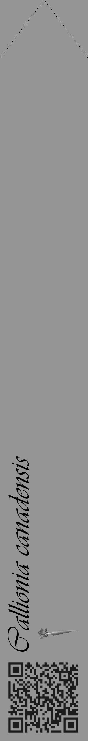 Étiquette de : Callionia canadensis - format c - style noire16_simple_simpleviv avec qrcode et comestibilité simplifiée - position verticale