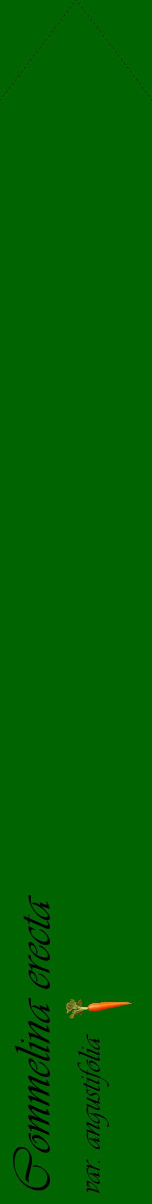 Étiquette de : Commelina erecta var. angustifolia - format c - style noire8_simpleviv avec comestibilité simplifiée