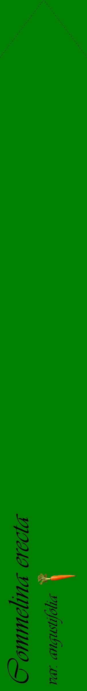 Étiquette de : Commelina erecta var. angustifolia - format c - style noire9_simpleviv avec comestibilité simplifiée