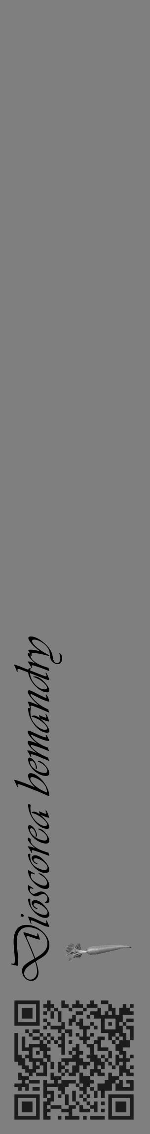 Étiquette de : Dioscorea bemandry - format c - style noire31_basique_basiqueviv avec qrcode et comestibilité simplifiée - position verticale