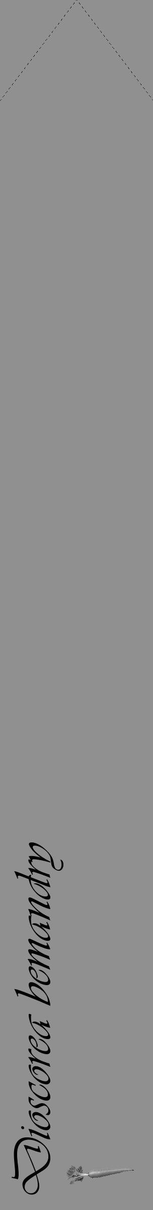 Étiquette de : Dioscorea bemandry - format c - style noire4_simple_simpleviv avec comestibilité simplifiée - position verticale
