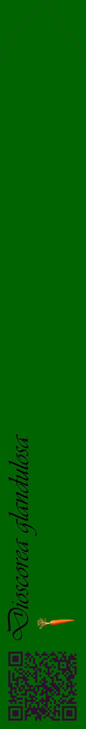 Étiquette de : Dioscorea glandulosa - format c - style noire8_simpleviv avec qrcode et comestibilité simplifiée