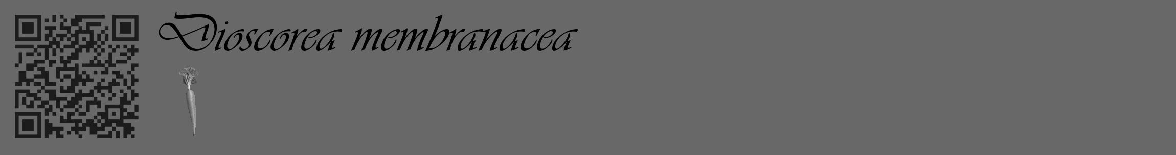 Étiquette de : Dioscorea membranacea - format c - style noire43_basique_basiqueviv avec qrcode et comestibilité simplifiée