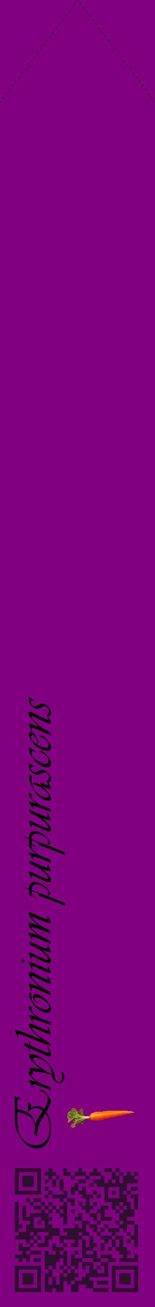 Étiquette de : Erythronium purpurascens - format c - style noire46_simpleviv avec qrcode et comestibilité simplifiée
