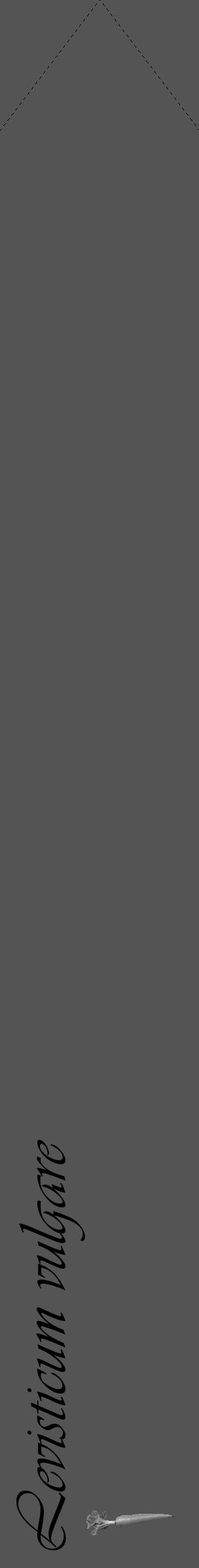 Étiquette de : Levisticum vulgare - format c - style noire30_simple_simpleviv avec comestibilité simplifiée - position verticale