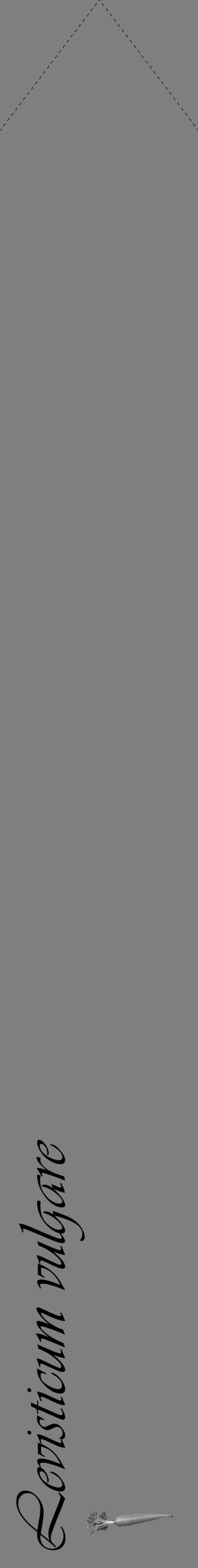 Étiquette de : Levisticum vulgare - format c - style noire31_simple_simpleviv avec comestibilité simplifiée - position verticale