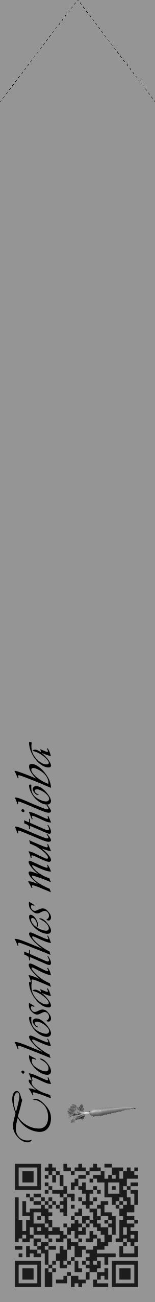 Étiquette de : Trichosanthes multiloba - format c - style noire16_simple_simpleviv avec qrcode et comestibilité simplifiée - position verticale