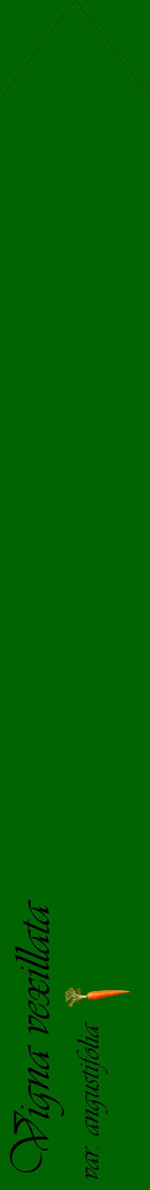Étiquette de : Vigna vexillata var. angustifolia - format c - style noire8_simpleviv avec comestibilité simplifiée