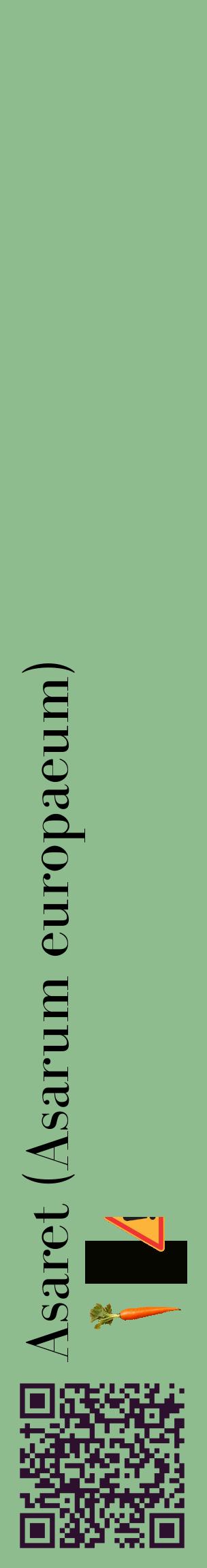 Étiquette de : Asarum europaeum - format c - style noire13_basiquebod avec qrcode et comestibilité simplifiée