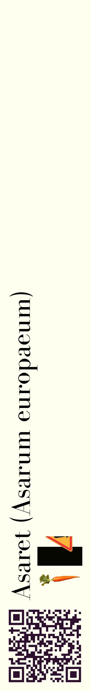 Étiquette de : Asarum europaeum - format c - style noire19_basiquebod avec qrcode et comestibilité simplifiée