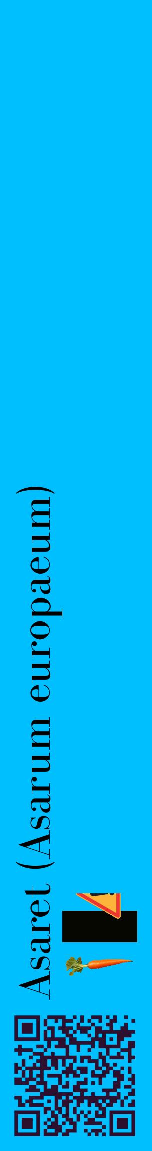 Étiquette de : Asarum europaeum - format c - style noire2_basiquebod avec qrcode et comestibilité simplifiée