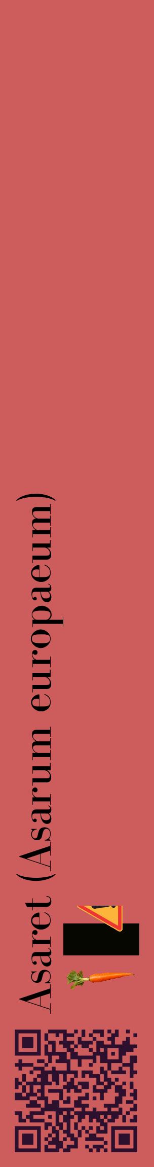 Étiquette de : Asarum europaeum - format c - style noire35_basiquebod avec qrcode et comestibilité simplifiée