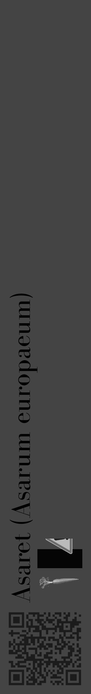 Étiquette de : Asarum europaeum - format c - style noire48_basique_basiquebod avec qrcode et comestibilité simplifiée - position verticale