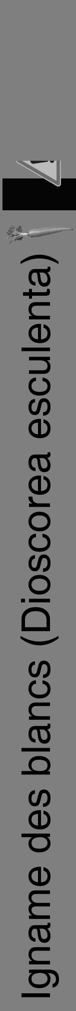 Étiquette de : Dioscorea esculenta - format a - style noire57hel avec comestibilité simplifiée - position verticale