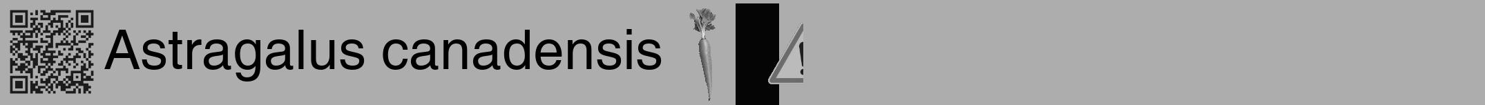 Étiquette de : Astragalus canadensis - format a - style noire22hel avec qrcode et comestibilité simplifiée