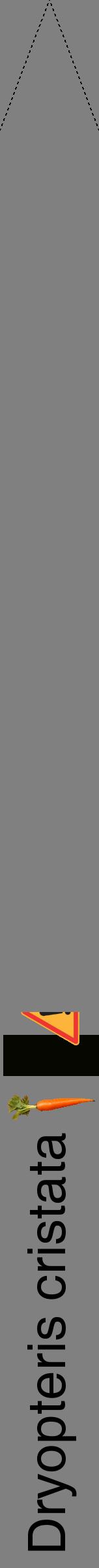 Étiquette de : Dryopteris cristata - format b - style noire57hel avec comestibilité simplifiée