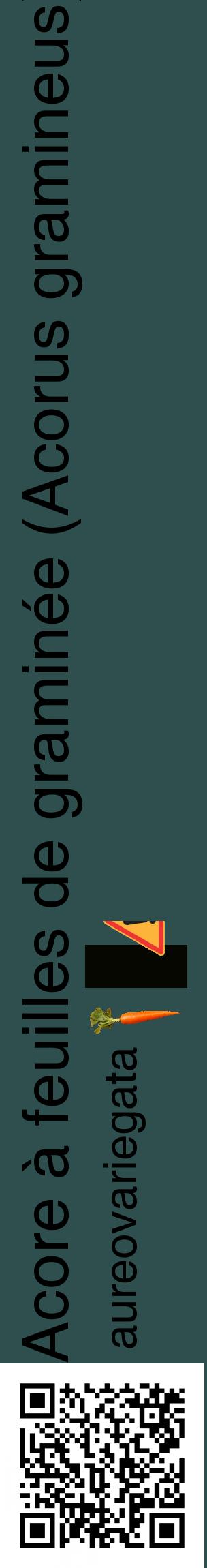 Étiquette de : Acorus gramineus aureovariegata - format c - style noire58_basiquehel avec qrcode et comestibilité simplifiée