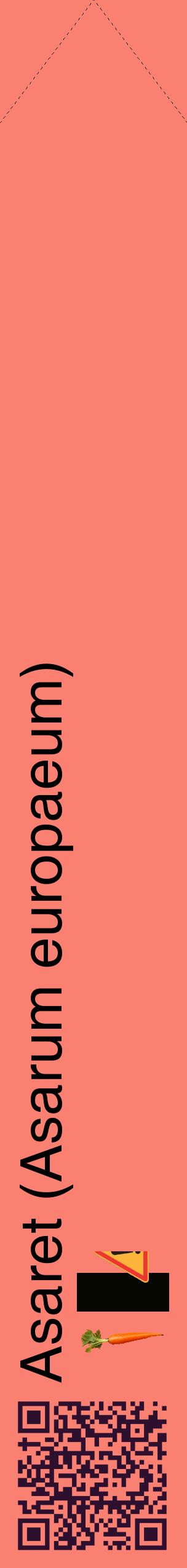 Étiquette de : Asarum europaeum - format c - style noire38_simplehel avec qrcode et comestibilité simplifiée