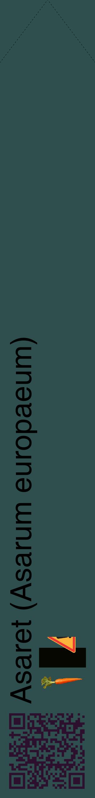 Étiquette de : Asarum europaeum - format c - style noire58_simplehel avec qrcode et comestibilité simplifiée