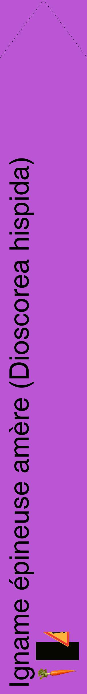 Étiquette de : Dioscorea hispida - format c - style noire50_simplehel avec comestibilité simplifiée