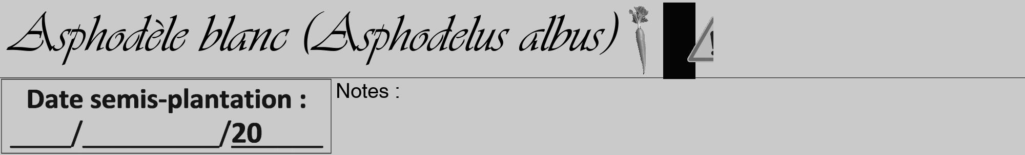 Étiquette de : Asphodelus albus - format a - style noire21viv avec comestibilité simplifiée