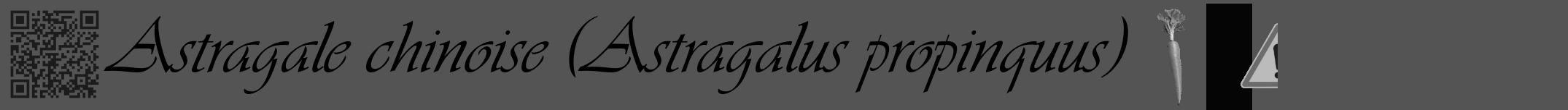 Étiquette de : Astragalus propinquus - format a - style noire30viv avec qrcode et comestibilité simplifiée