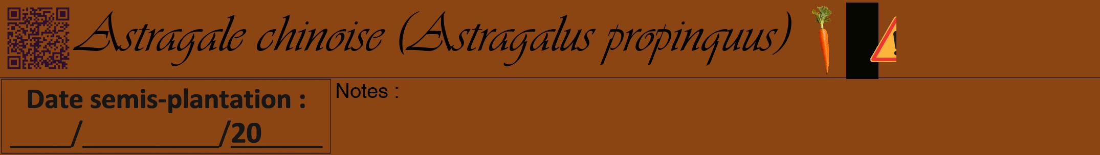 Étiquette de : Astragalus propinquus - format a - style noire30viv avec qrcode et comestibilité simplifiée