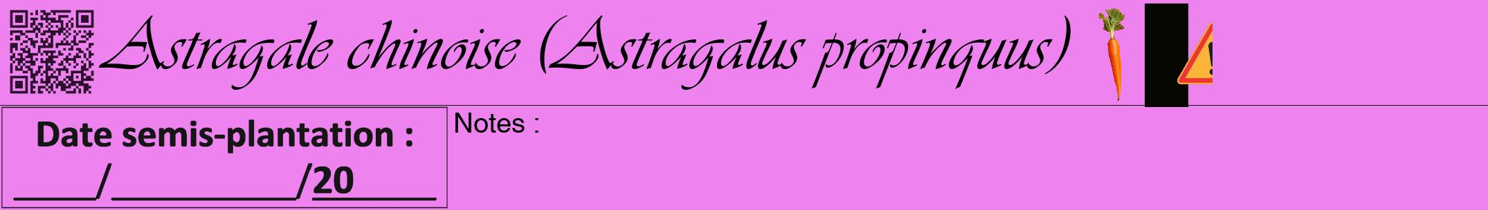 Étiquette de : Astragalus propinquus - format a - style noire53viv avec qrcode et comestibilité simplifiée