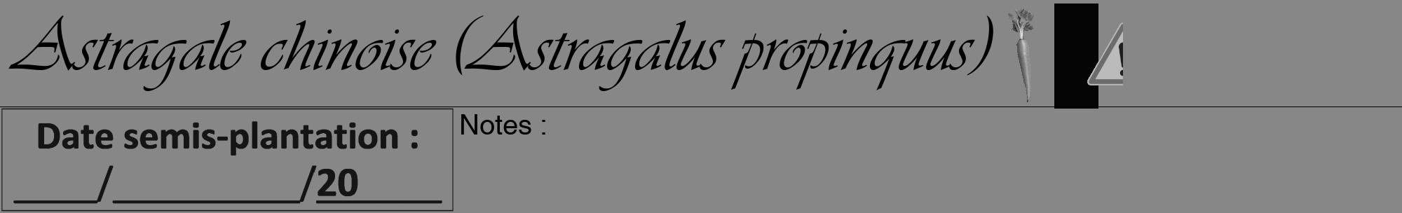 Étiquette de : Astragalus propinquus - format a - style noire12viv avec comestibilité simplifiée