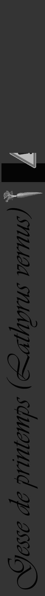 Étiquette de : Lathyrus vernus - format a - style noire46viv avec comestibilité simplifiée - position verticale