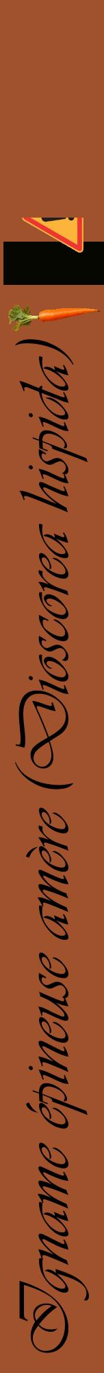 Étiquette de : Dioscorea hispida - format a - style noire32viv avec comestibilité simplifiée