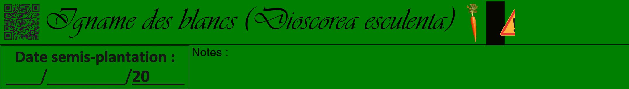 Étiquette de : Dioscorea esculenta - format a - style noire9viv avec qrcode et comestibilité simplifiée