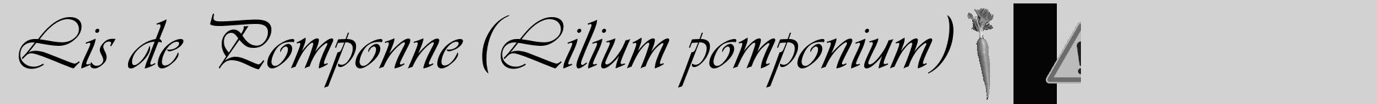 Étiquette de : Lilium pomponium - format a - style noire14viv avec comestibilité simplifiée