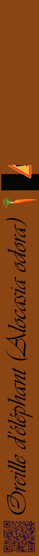 Étiquette de : Alocasia odora - format a - style noire30viv avec qrcode et comestibilité simplifiée