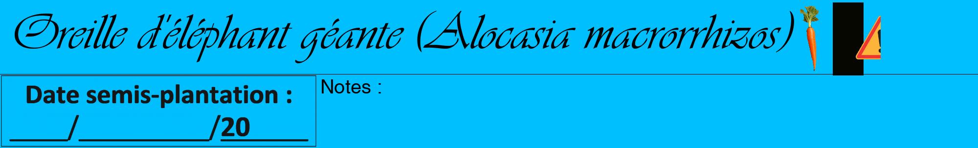Étiquette de : Alocasia macrorrhizos - format a - style noire2viv avec comestibilité simplifiée