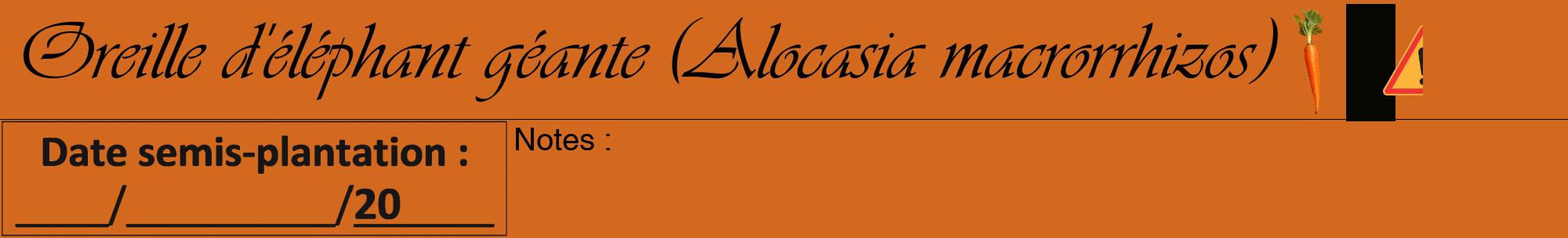 Étiquette de : Alocasia macrorrhizos - format a - style noire31viv avec comestibilité simplifiée