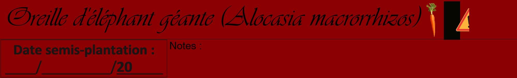 Étiquette de : Alocasia macrorrhizos - format a - style noire34viv avec comestibilité simplifiée