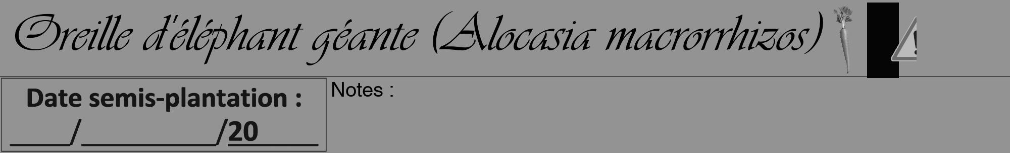 Étiquette de : Alocasia macrorrhizos - format a - style noire44viv avec comestibilité simplifiée