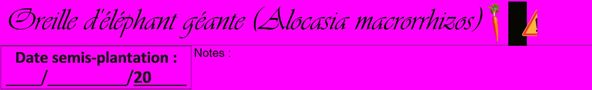 Étiquette de : Alocasia macrorrhizos - format a - style noire51viv avec comestibilité simplifiée