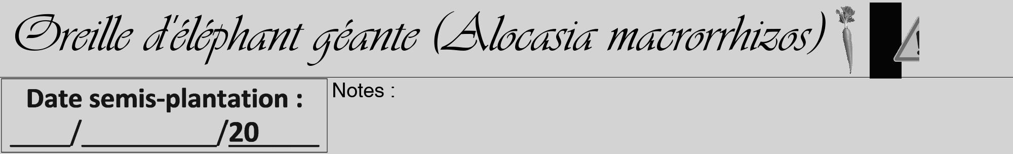 Étiquette de : Alocasia macrorrhizos - format a - style noire56viv avec comestibilité simplifiée