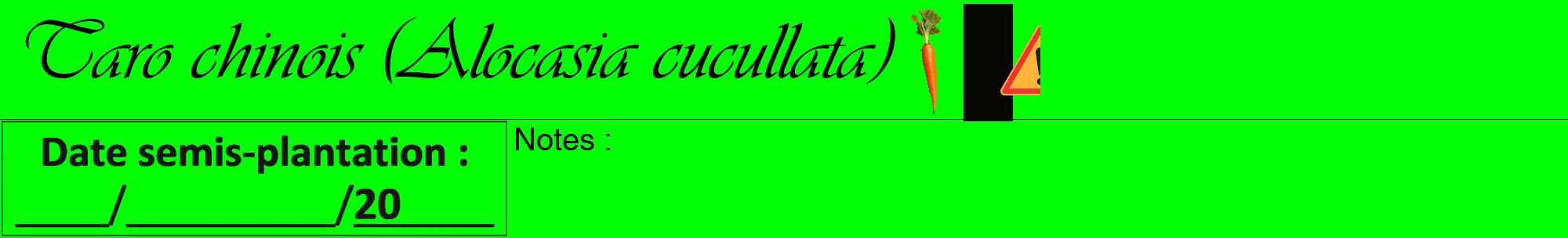 Étiquette de : Alocasia cucullata - format a - style noire16viv avec comestibilité simplifiée